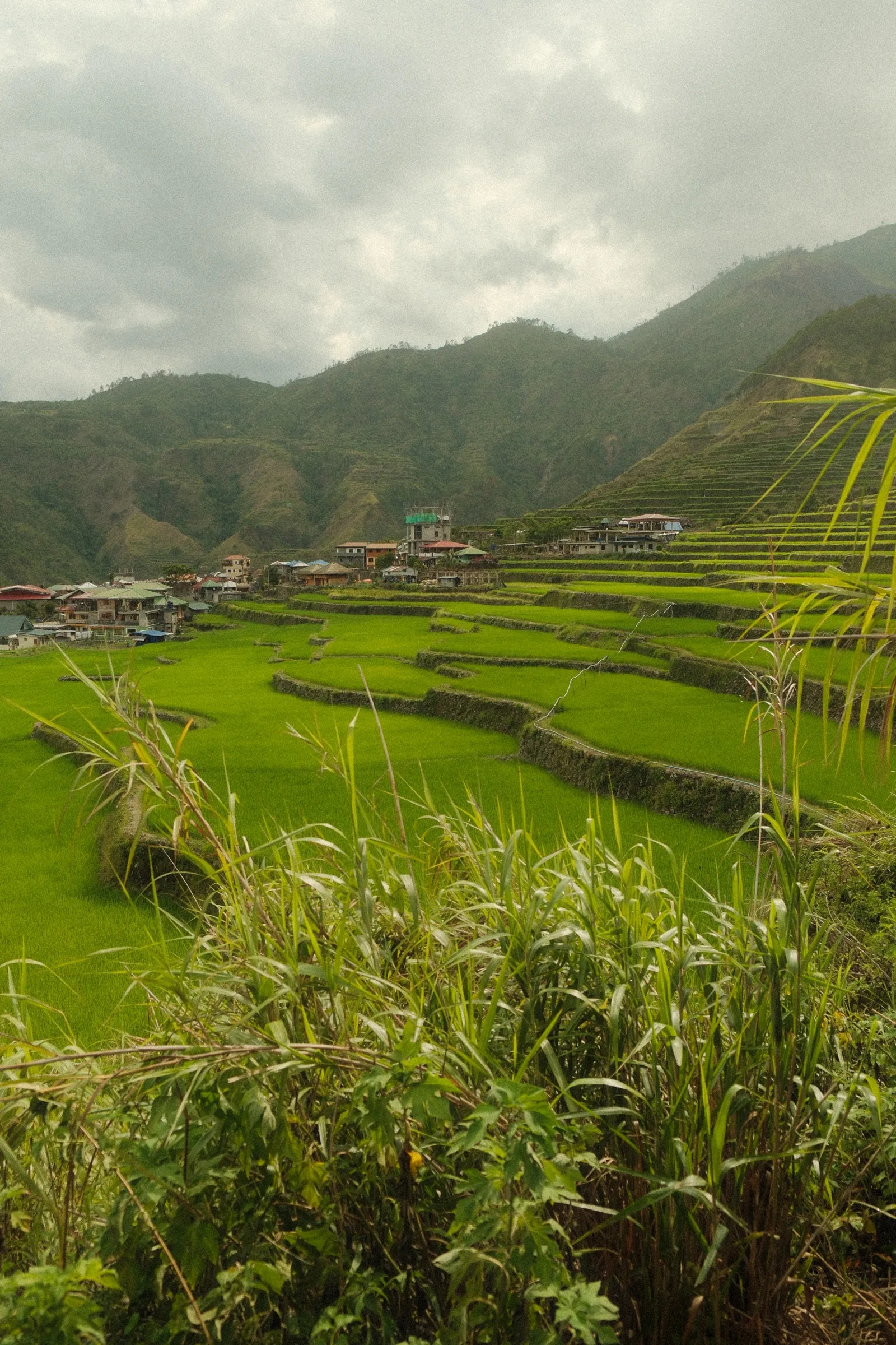 Buscalan rice terraces stretching out below the village, with mountains in the distance.
