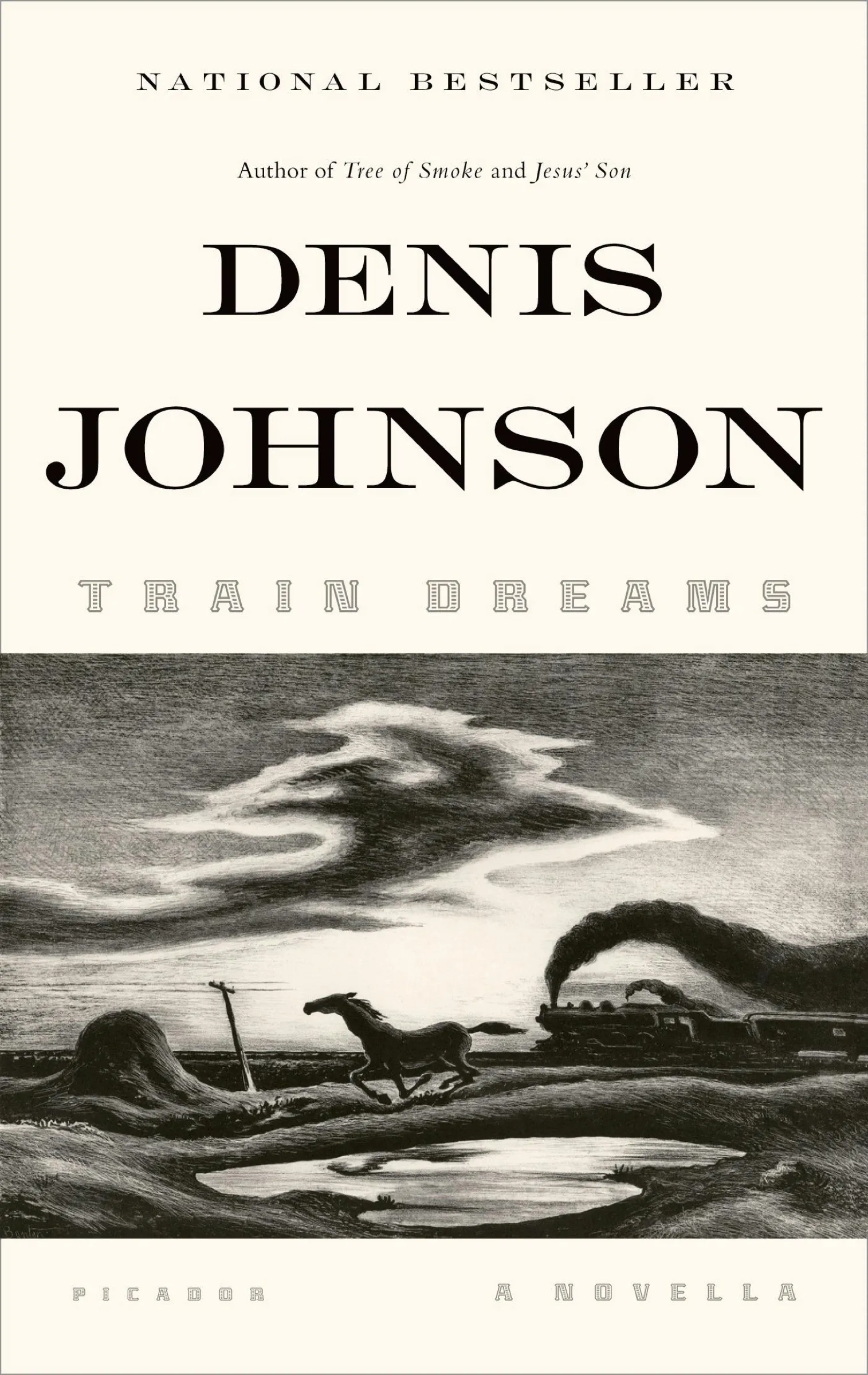 Train Dreams by Denis Johnson, the Picador edition with a horse running beside a steam train on the cover.